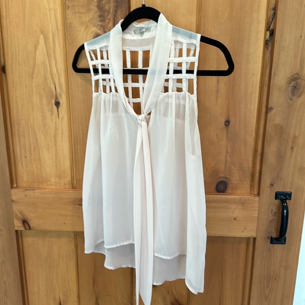 Sheer blouse